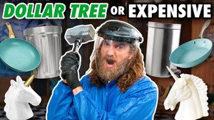 Still from Dollar Store vs. Expensive Product Challenge
