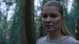 Still from The Flock