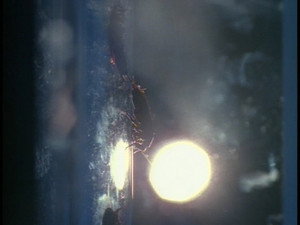 Still from Behind the truth - War Of The Coprophages