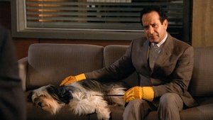 Still from Mr. Monk and the Dog
