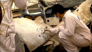 Still from Scratching the Surface (China Airlines Flight 611)