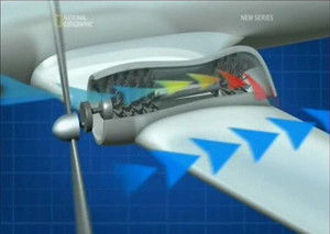 Still from Who's Flying the Plane? (Crew vs Avionics)