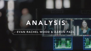 Still from Analysis: Rachel Wood & Aaron Paul