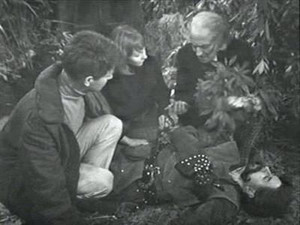 Still from The Lion