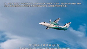 Still from Norwegian Nightmare (Widerøe Flight 839)