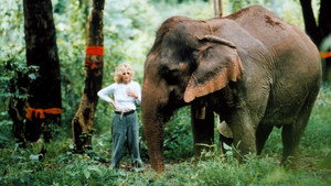Still from The White Elephants of Thailand with Meg Ryan