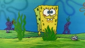 Still from Nature Pants