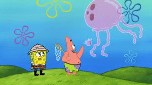 Still from Jellyfishing Safety Tips