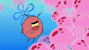 Still from Plankton Pays