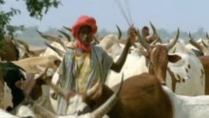 Still from Africa: Love in the Sahel
