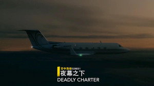 Still from Deadly Charter (2001 Aspen Gulfstream III crash)