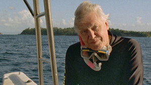 Still from Song of the Earth with David Attenborough