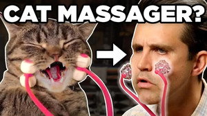 Still from Is this Grooming Product for Pets or Humans? (GAME)
