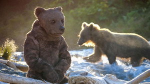 Still from Spy in The Wild 2: The North