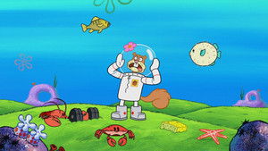 Still from Feral Friends