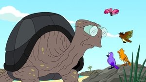 Still from Naturama