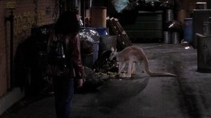 Still from Don't Ask, Don't Tell