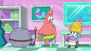 Still from Pet the Rock