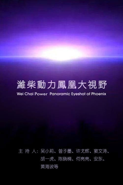 Poster of 凤凰大视野