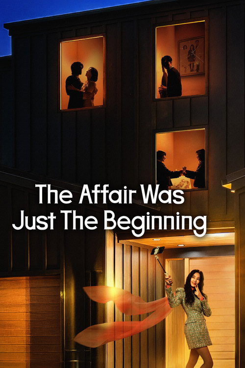 Poster of The Affair Was Just The Beginning
