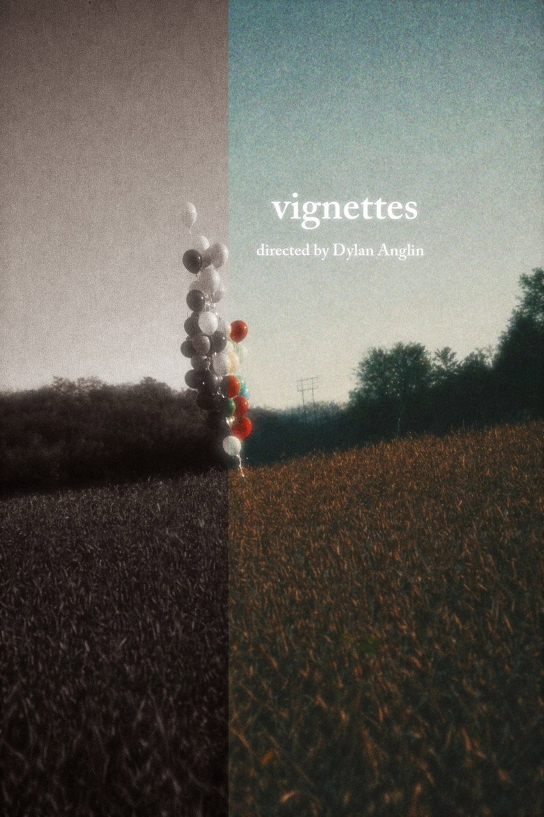 Vignettes